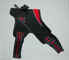 Load image into Gallery viewer, Patented Hart Harness Red