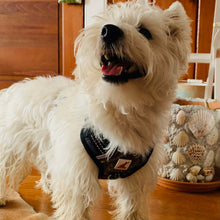 Load image into Gallery viewer, Realtree® 2X Sport Harness Edge