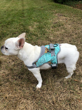 Load image into Gallery viewer, Patented Realtree Hart Harness Sea Glass - mydoggytales.com