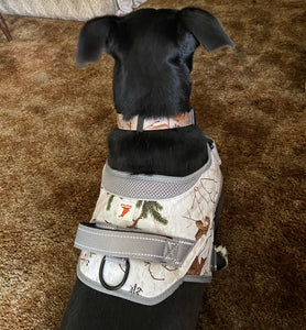Realtree Adjustable Dog Collar Snow - mydoggytales.com