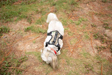 Load image into Gallery viewer, Realtree® 2X Sport Harness Edge