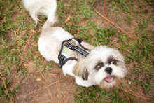 Load image into Gallery viewer, Realtree® 2X Sport Harness Snow