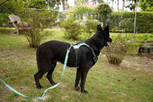 Load image into Gallery viewer, Realtree® 2X Sport Harness Sea Glass
