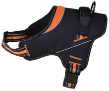 Load image into Gallery viewer, Patented Hart Harness Orange