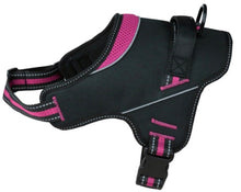 Load image into Gallery viewer, Patented Hart Harness Pink