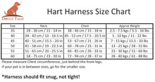Load image into Gallery viewer, Patented Realtree® Hart Harness Snow