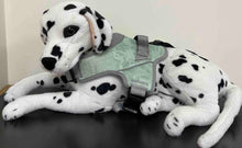 Load image into Gallery viewer, Patented Realtree® Hart Harness Lime Green