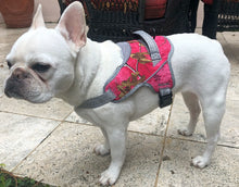 Load image into Gallery viewer, Patented Realtree Hart Harness Paradise Pink - mydoggytales.com