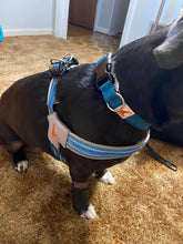 Load image into Gallery viewer, Realtree Adjustable Dog Collar Surf Blue - mydoggytales.com
