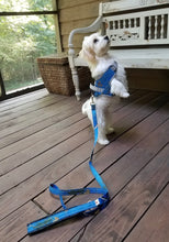 Load image into Gallery viewer, Realtree Classic Leash Surf Blue - mydoggytales.com
