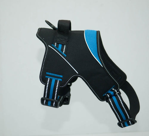 Patented Hart Harness Blue - mydoggytales.com