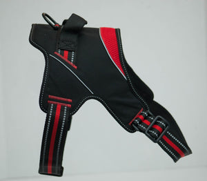 Patented Hart Harness Red