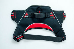 Patented Hart Harness Red