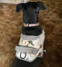 Load image into Gallery viewer, Realtree Adjustable Dog Collar Snow - mydoggytales.com
