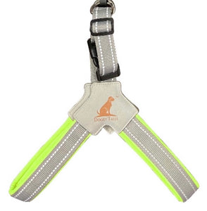Step In V Harness Lime