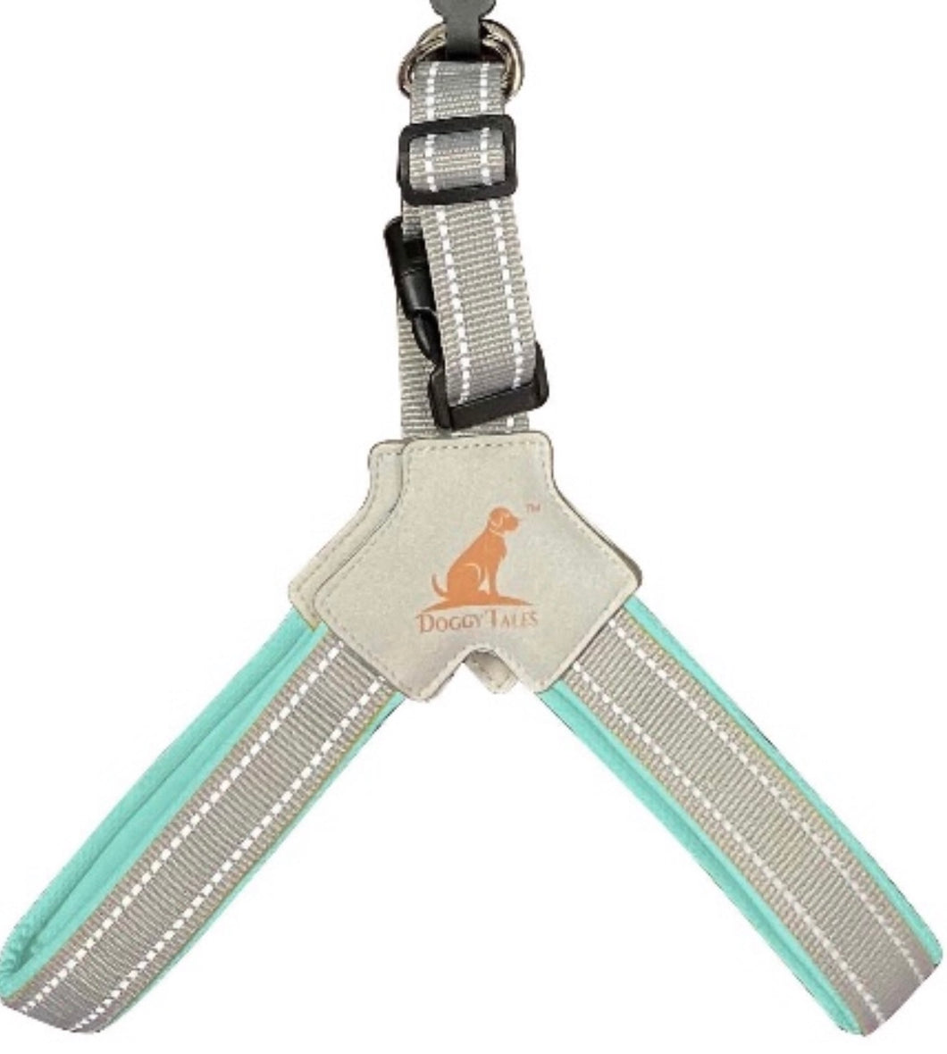 Step In V Harness Turquoise