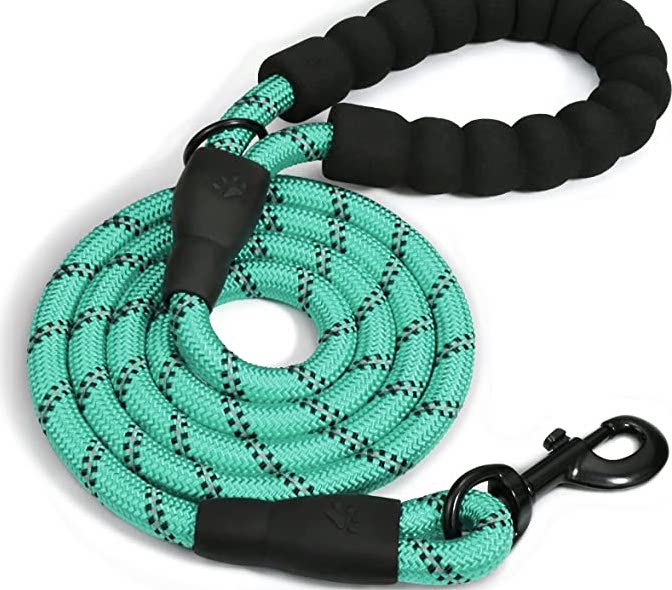 Braided Rope Leash - Turquoise
