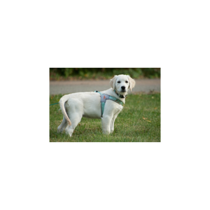 Realtree Step In V Harness Sea Glass - mydoggytales.com