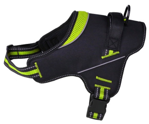 Patented Hart Harness Lime