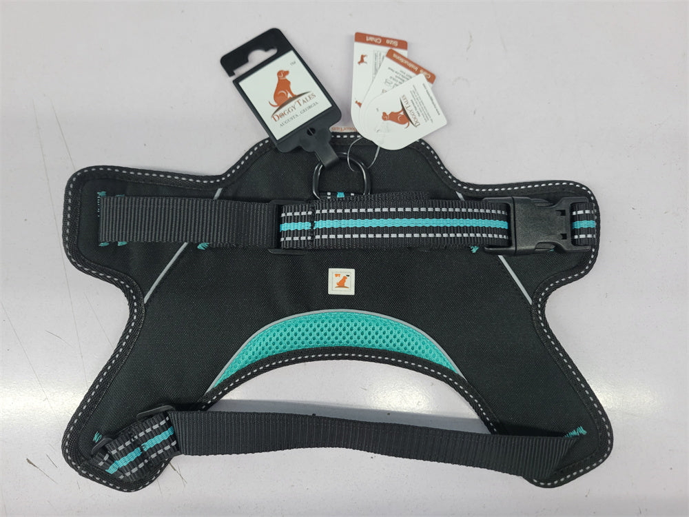 Patented Hart Harness Turquoise