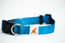 Load image into Gallery viewer, Realtree Adjustable Dog Collar Surf Blue - mydoggytales.com
