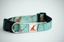 Load image into Gallery viewer, Realtree Adjustable Dog Collar Sea Glass - mydoggytales.com
