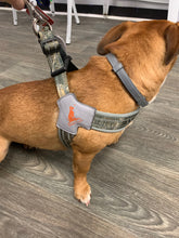 Load image into Gallery viewer, Realtree Step In V Harness Edge - mydoggytales.com
